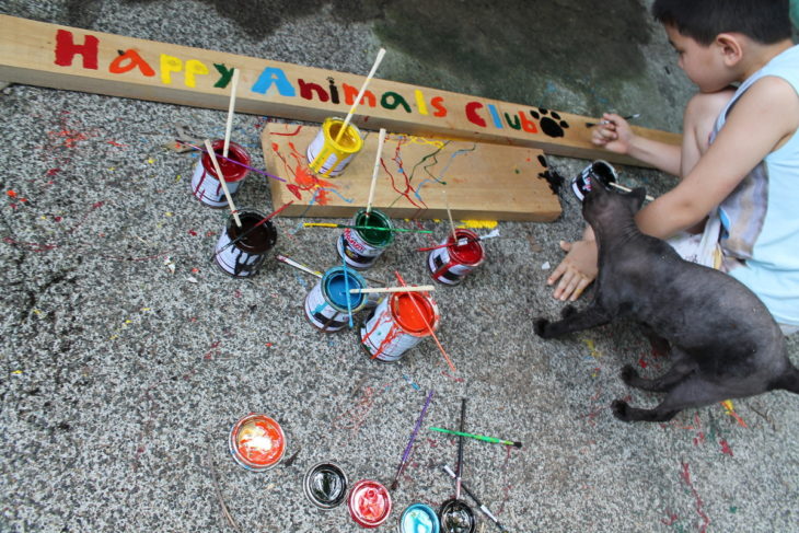 niño pintando refugio de animales