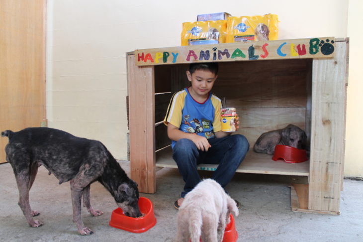 niño alimenta a animales de la calle