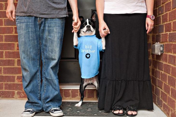 fotografía anuncio de embarazo con perrito