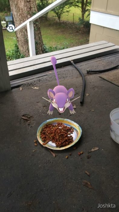 Un pokemón comiéndose la comida del perro