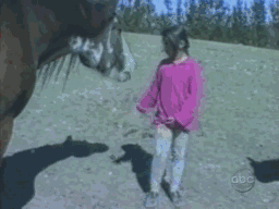 niña la patea un caballo