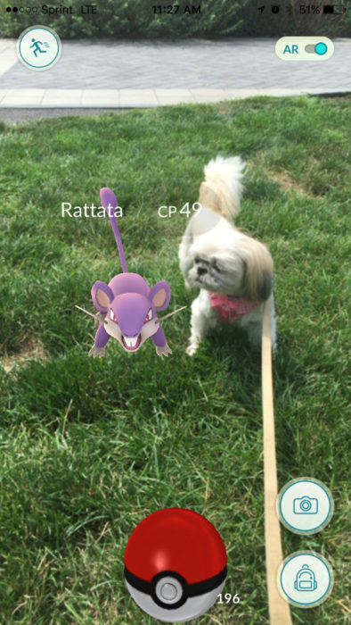 perrito blanco al lado de pokémon morado