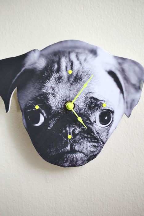 reloj de pared de perro