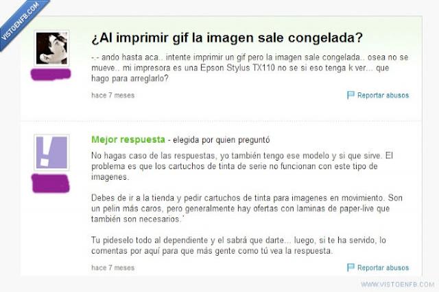 pregunta estúpida yahoo gif