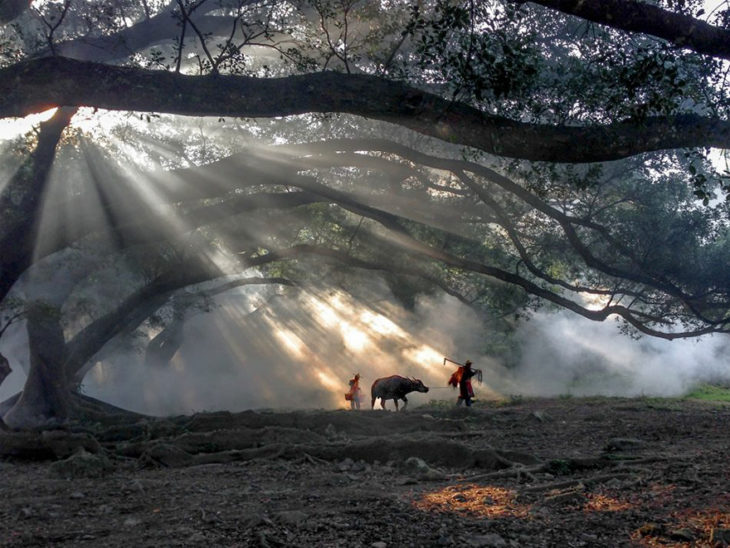 fotografía ganadora 2016 tomada con iphone, viaje