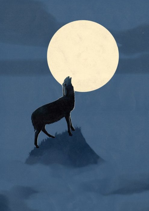 ilustración, oveja aullando a la luna como si fuera un lobo