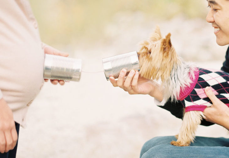 perrito y embarazada teléfono descompuesto