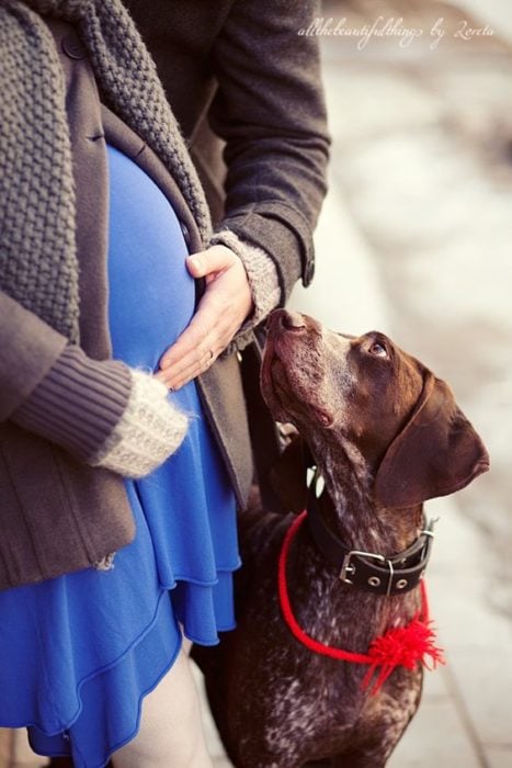 mujer embarazada de vestido azul con su perro