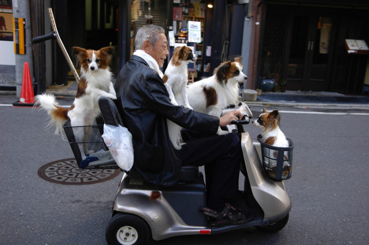 señor en motoneta con perros