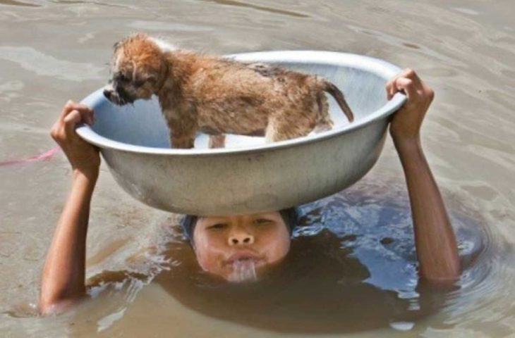 niño salvando a un perrito de ahogarse