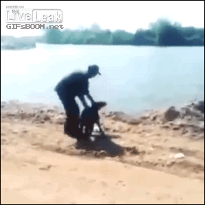 hombre se cae al agua por tratar de tirar a un perrito