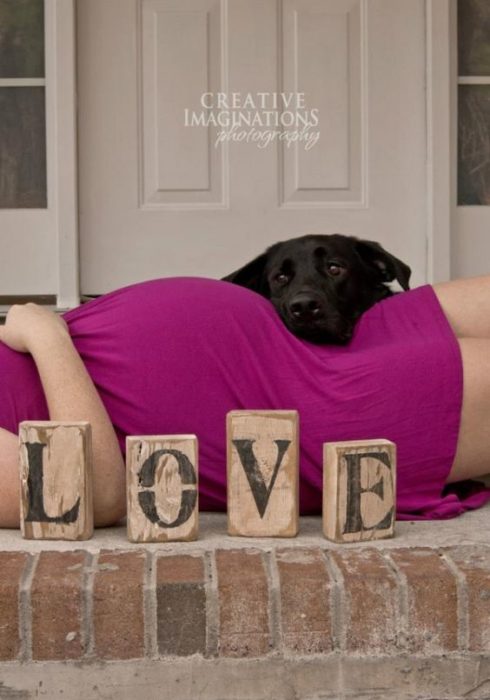 fotografía de maternidad con perro