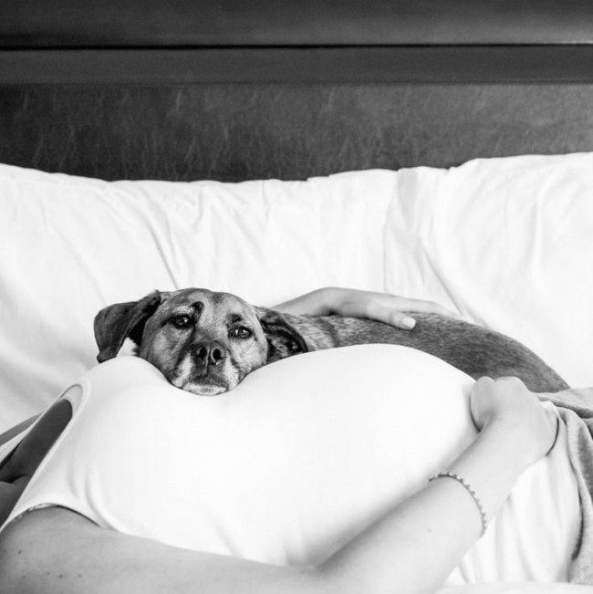 fotografía de maternidad con perro blanco y negro