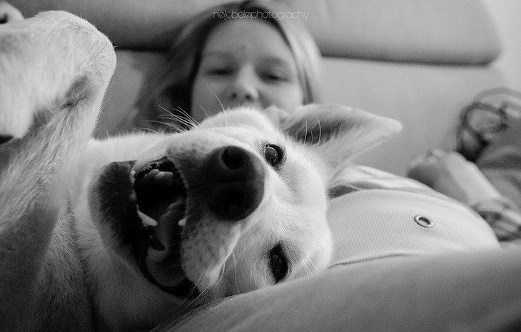 perrito feliz con mujer embarazada