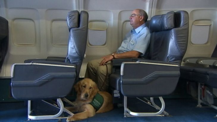 señor con su perro en un avión 