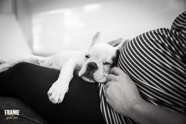fotografía de maternidad a blanco y negro con un perrito pequeño