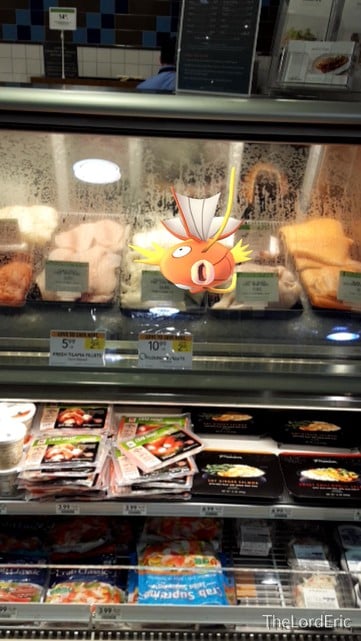 Un pokemón en las carnes frías