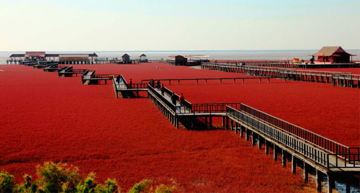 playa roja