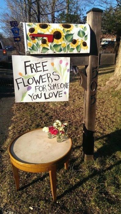 cartel de flores gratis