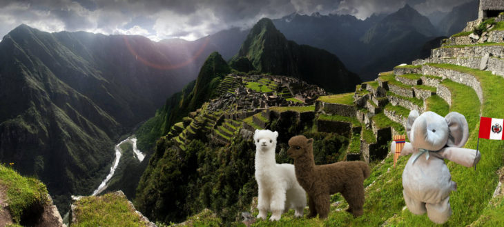 jugando con las llamas en machipichu