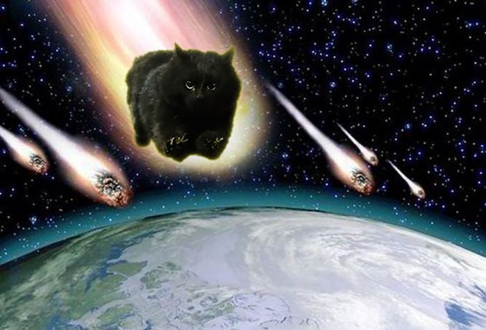 el gato como meteorito