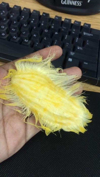 semilla de mango chupado