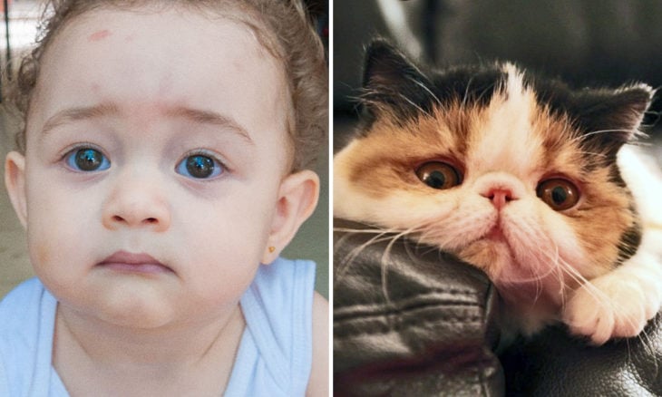 Niño con cara de gato