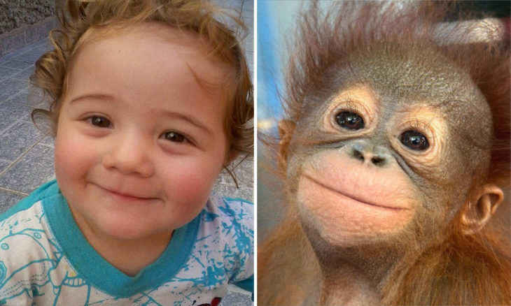 Niña con cara de chango