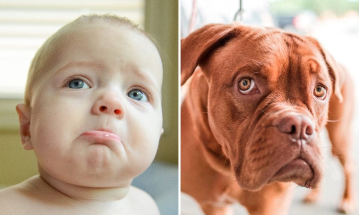 Niño con cara de perro