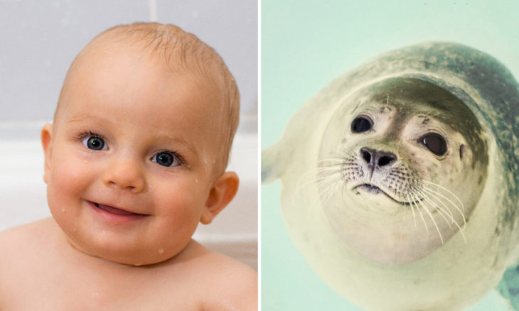 Niño con cara de foca