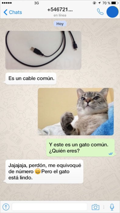 Mensajes equivocados. Un cable común, un gato común