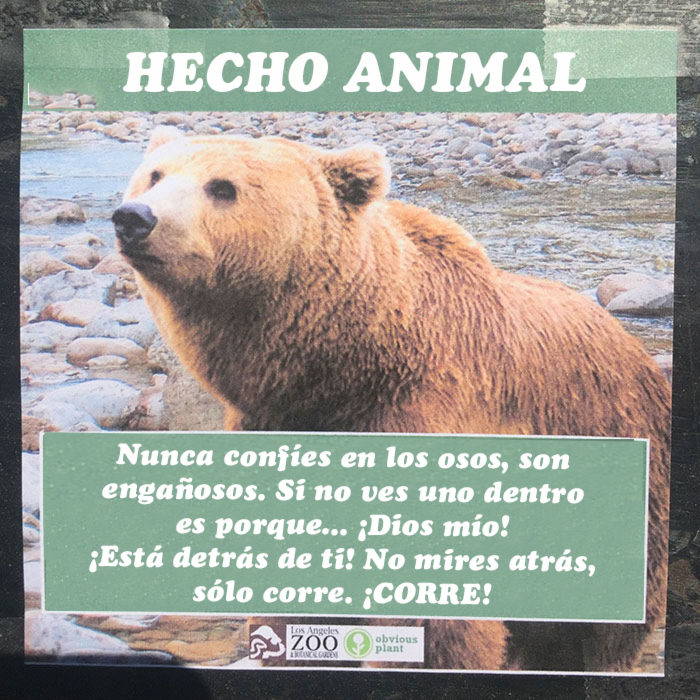 Osos engañosos hecho animal