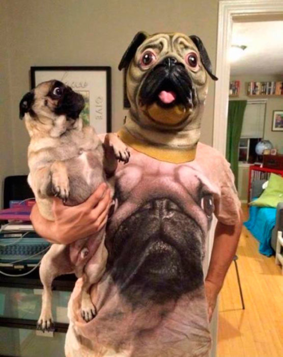 pug asustado por su dueño freaky