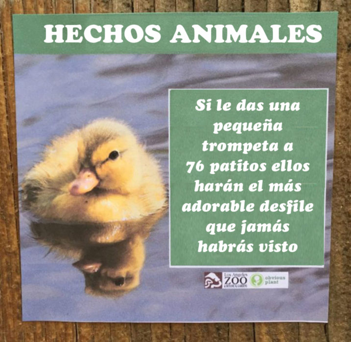 Patitos con trompetas hecho animal