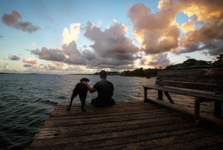 Perra labrador y hombre sentado en el muelle disfrutando un atardecer