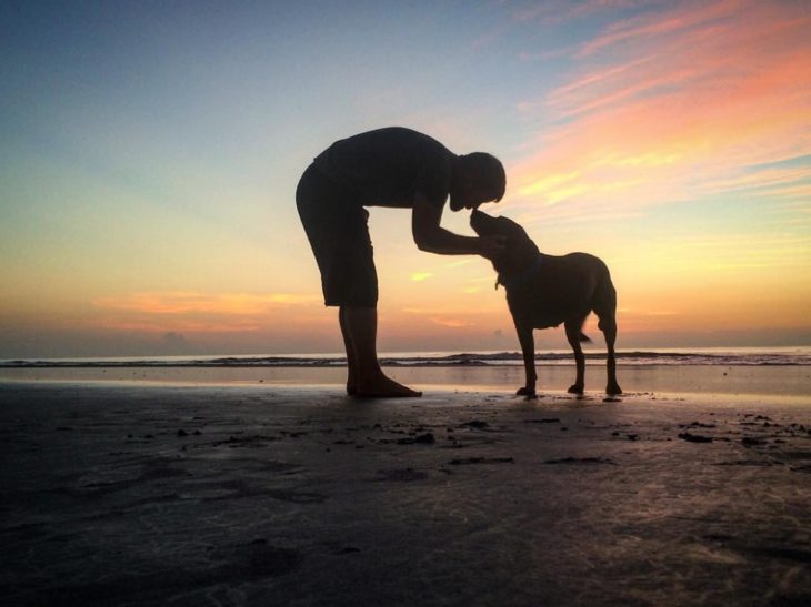 Hombre y perra en una playa al atardecer