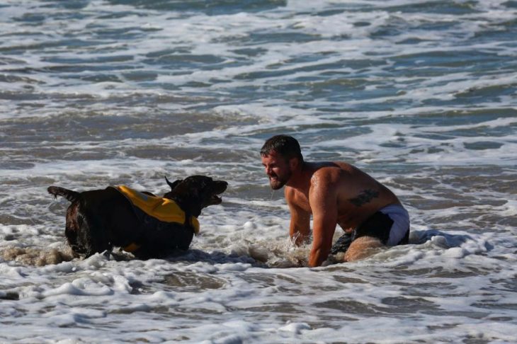 Perra labrador y hombre jugando en la playa