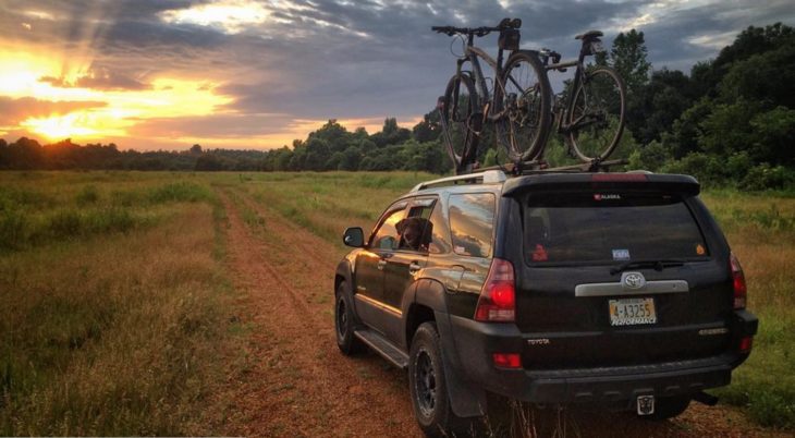 Perra labrador asomada de la ventana de una camioneta toyota en medio del campo en un atardecer hermoso