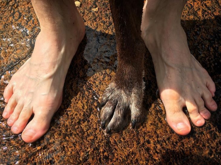 Pies de un hombre y una pata de un perro