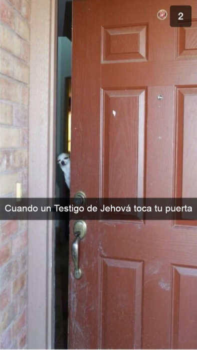 Snapchat Divertidos. Un perro asomándose por una puerta