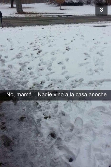 Snapchat Divertidos. No, mamá. Nadie vino a casa anoche