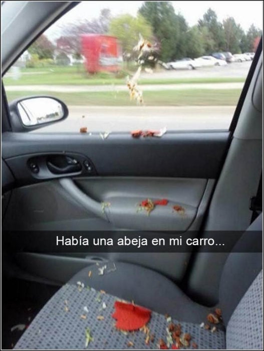 Snapchat Divertidos. Comida tirada por todo el carro