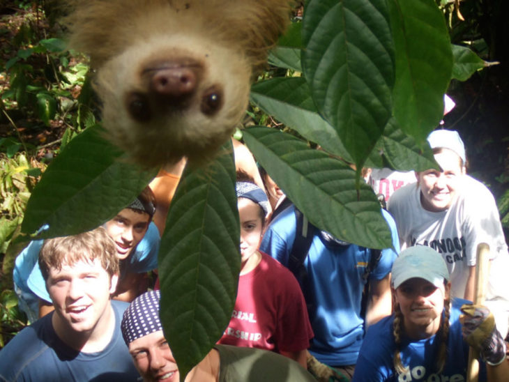 Lemur asomándose a foto 