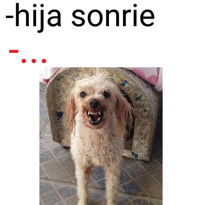 Luki, hija sonrie