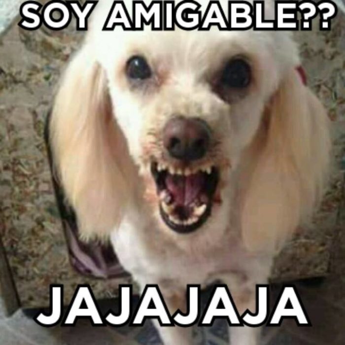 Luki, soy amigable??