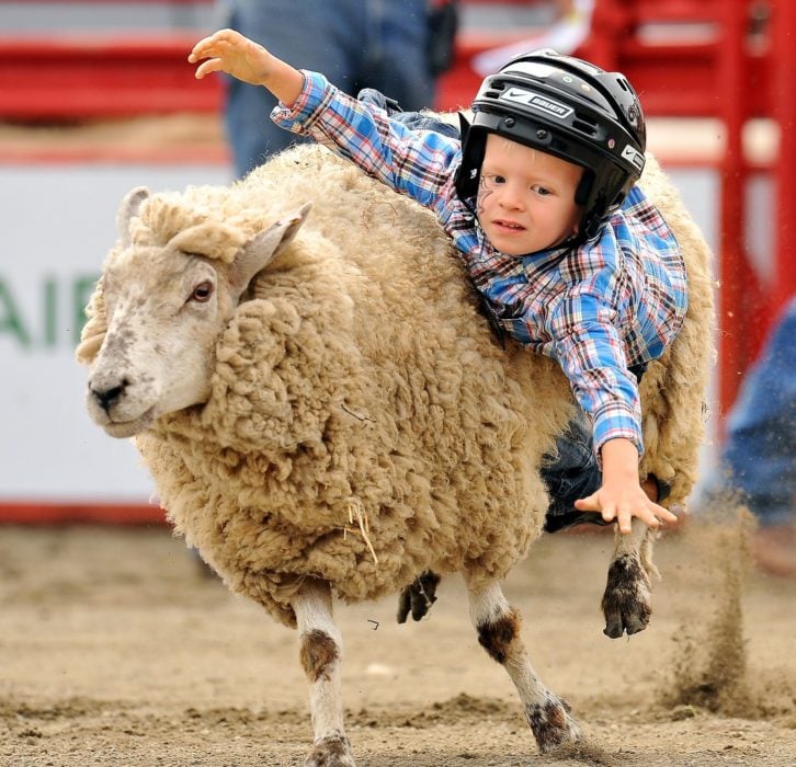 niño montado en una oveja