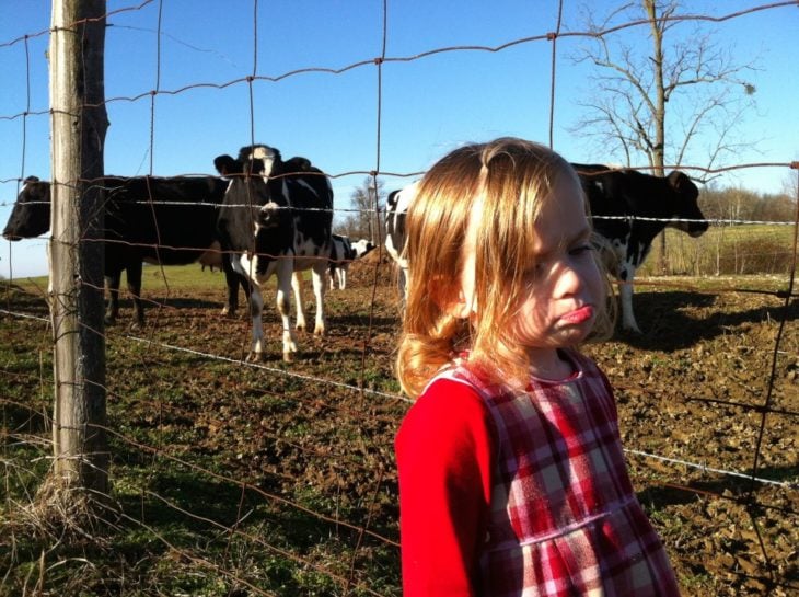 niña triste y vacas