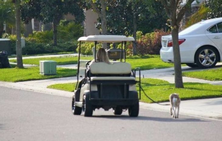 Mujer saca a pasear a su perro en un carrito de golf