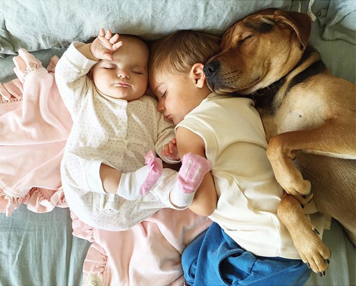 dos niños durmiendo con un perro