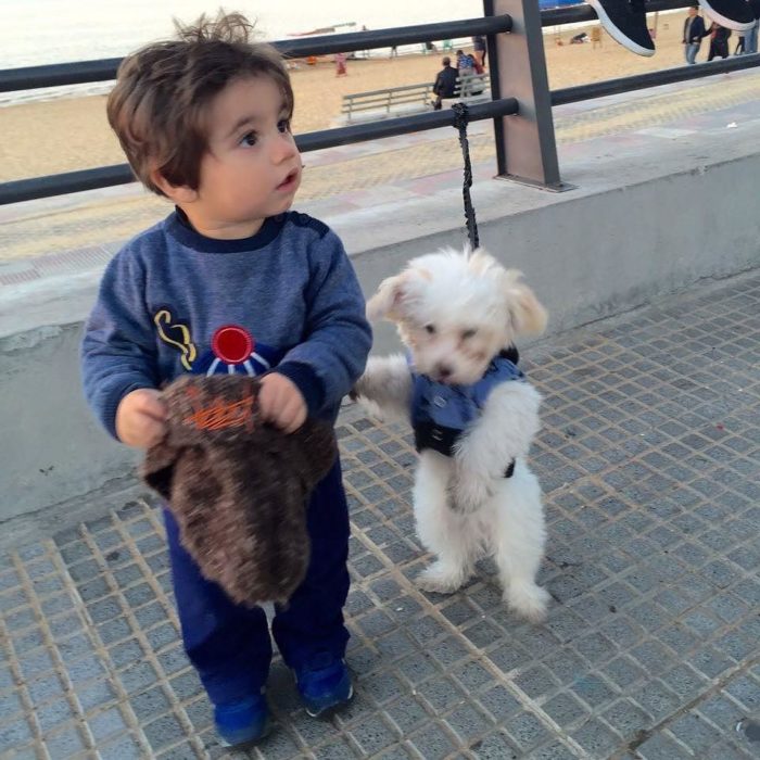 niño y perrito